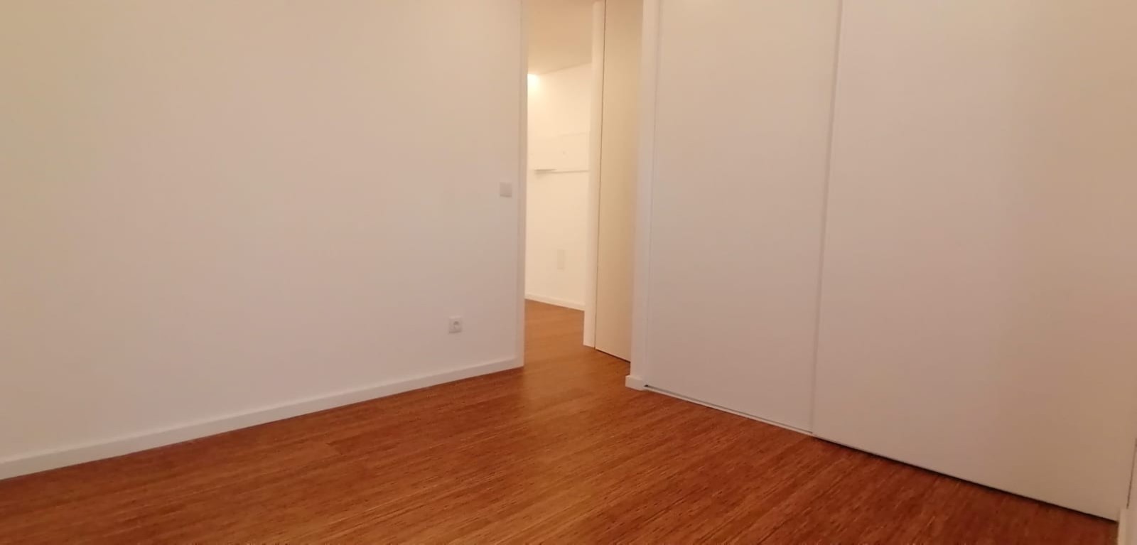 pv10735-novas-12jpeg