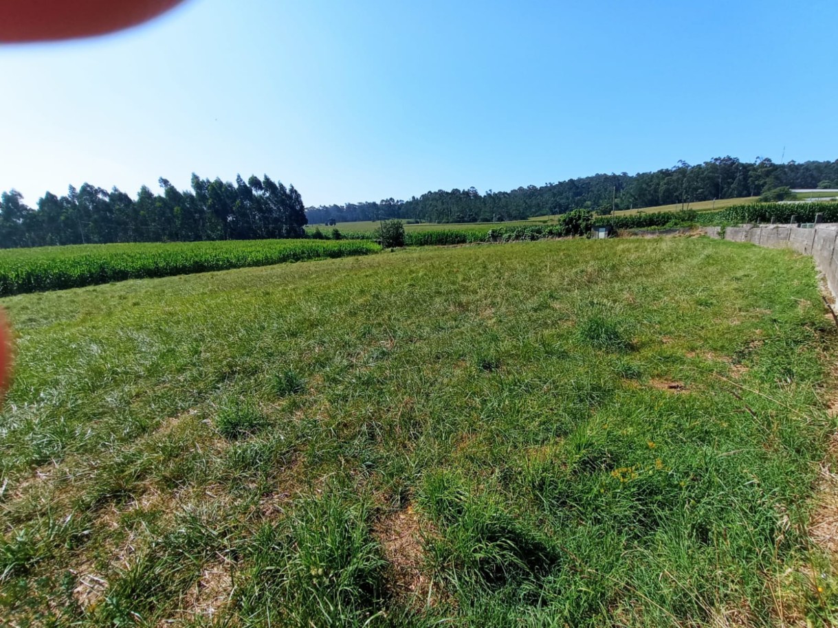 vc04720-6jpeg