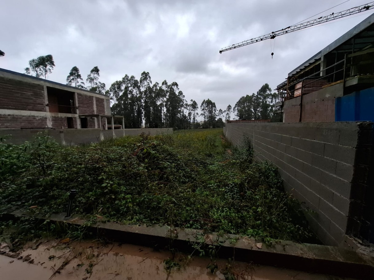 pv10810-1jpeg