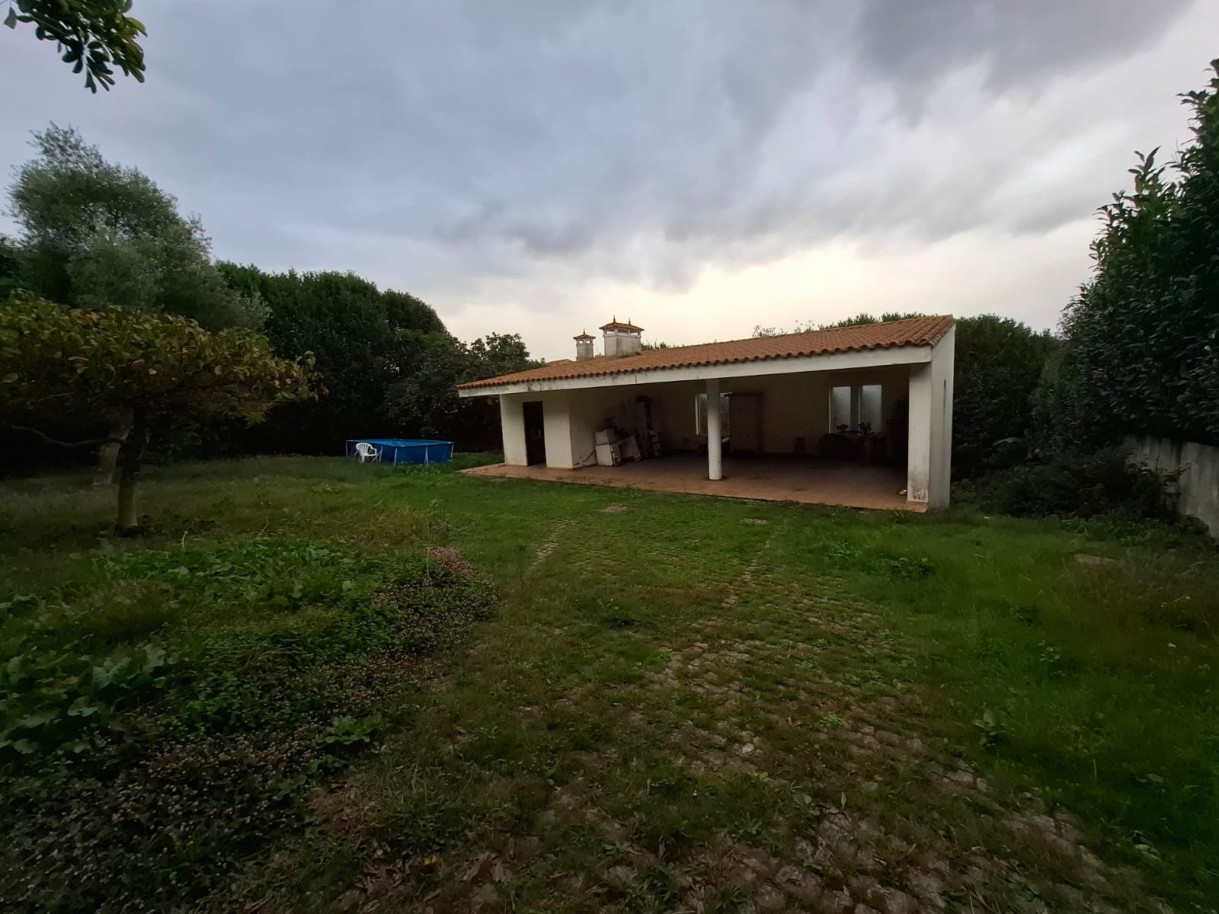 pv10820-1jpeg
