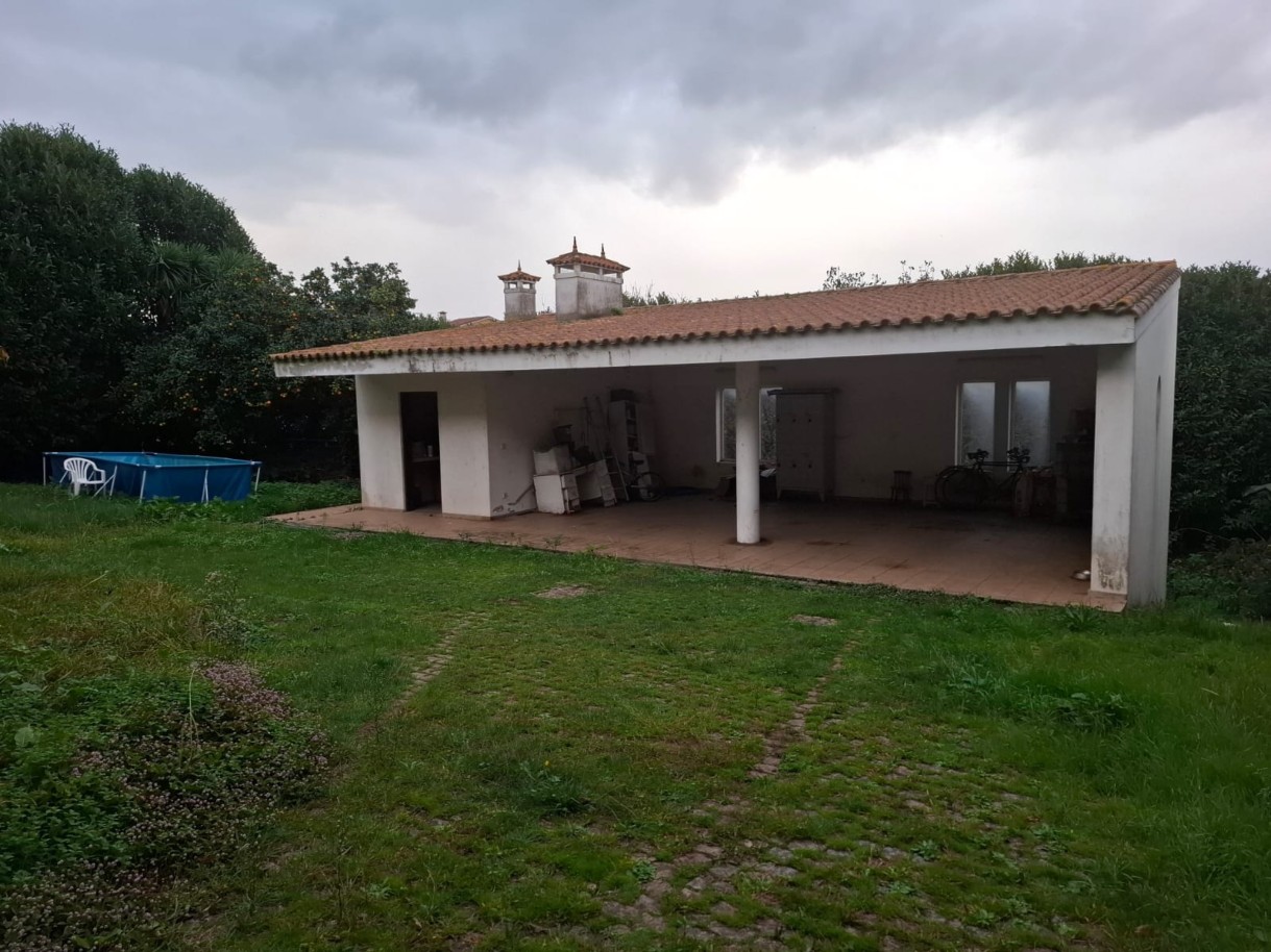 pv10820-2jpeg
