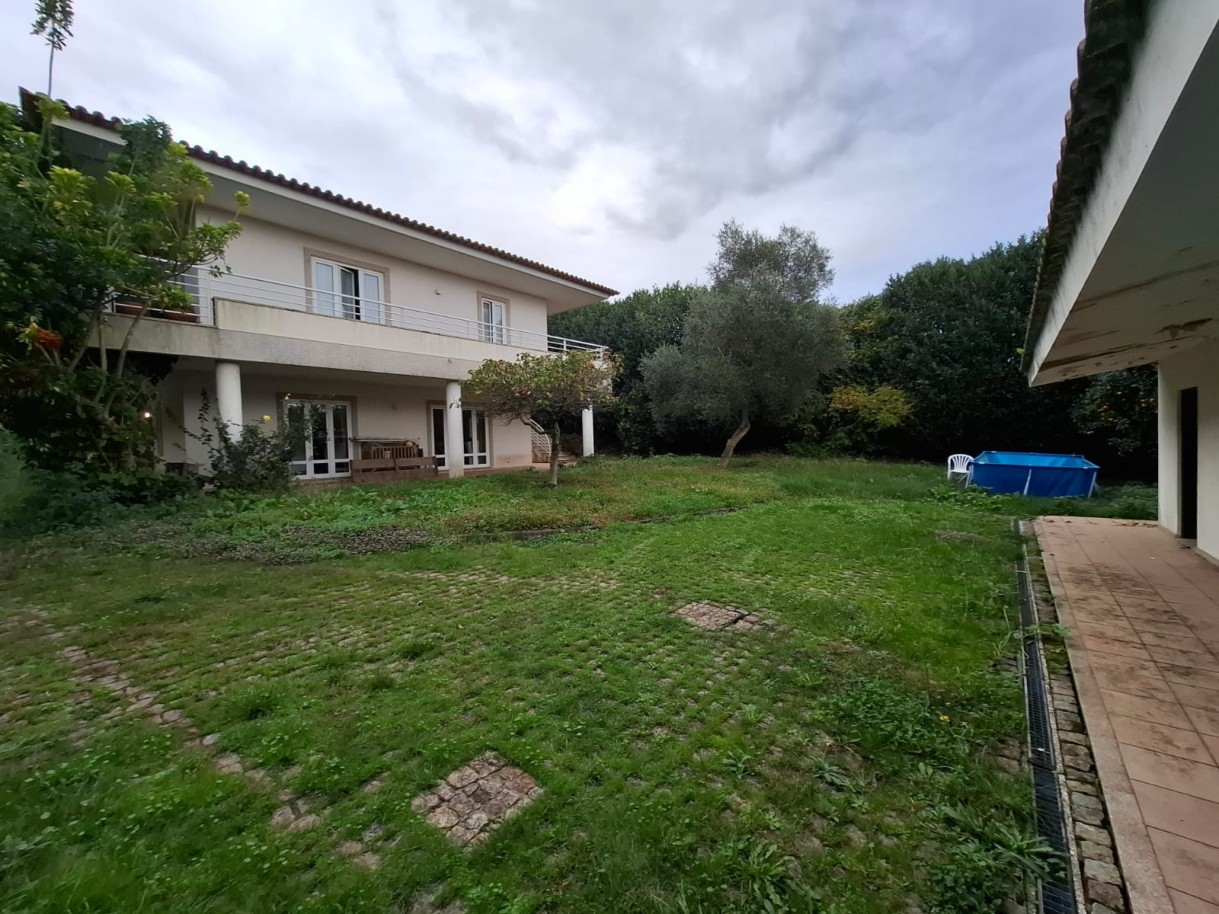 pv10820-5jpeg