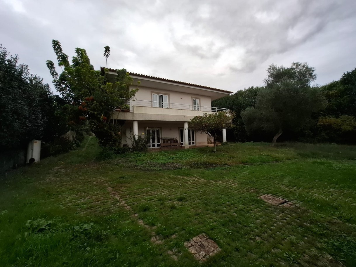 pv10820-6jpeg
