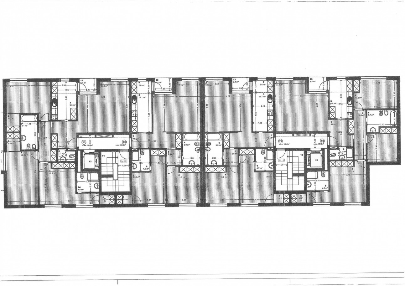 planta-003jpg