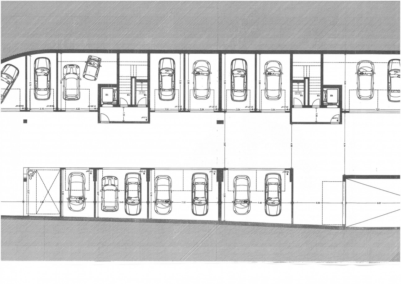 planta-001jpg