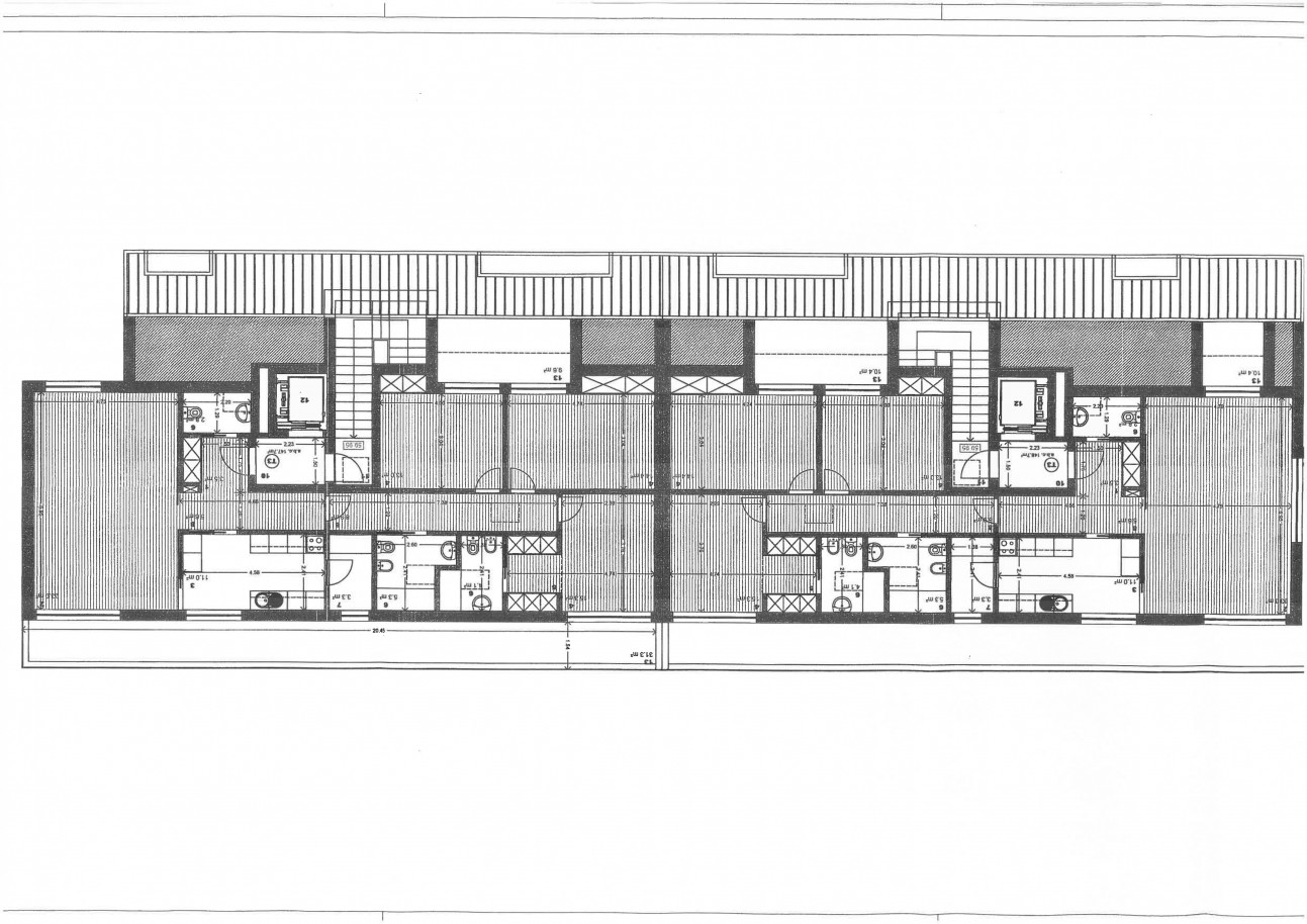planta-004jpg