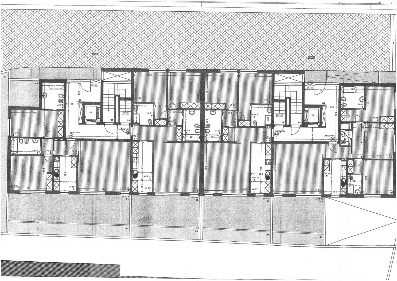 planta-002jpg