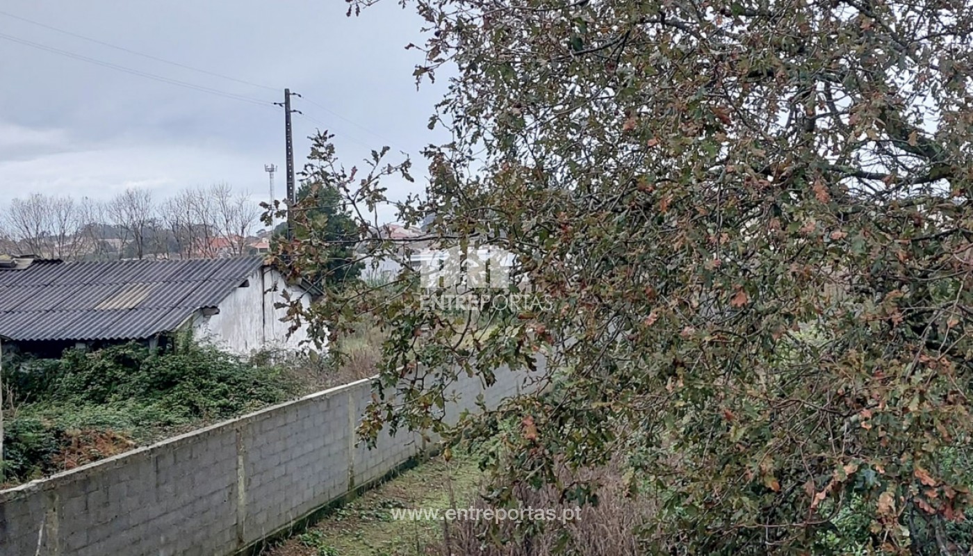 House in Arvore - Image 3