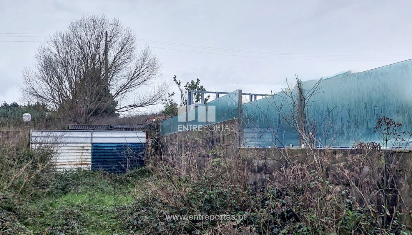 House in Arvore - Image 2