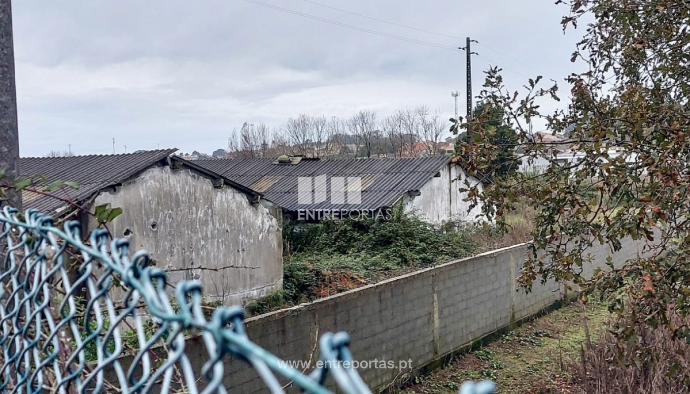 House in Arvore - Image 4