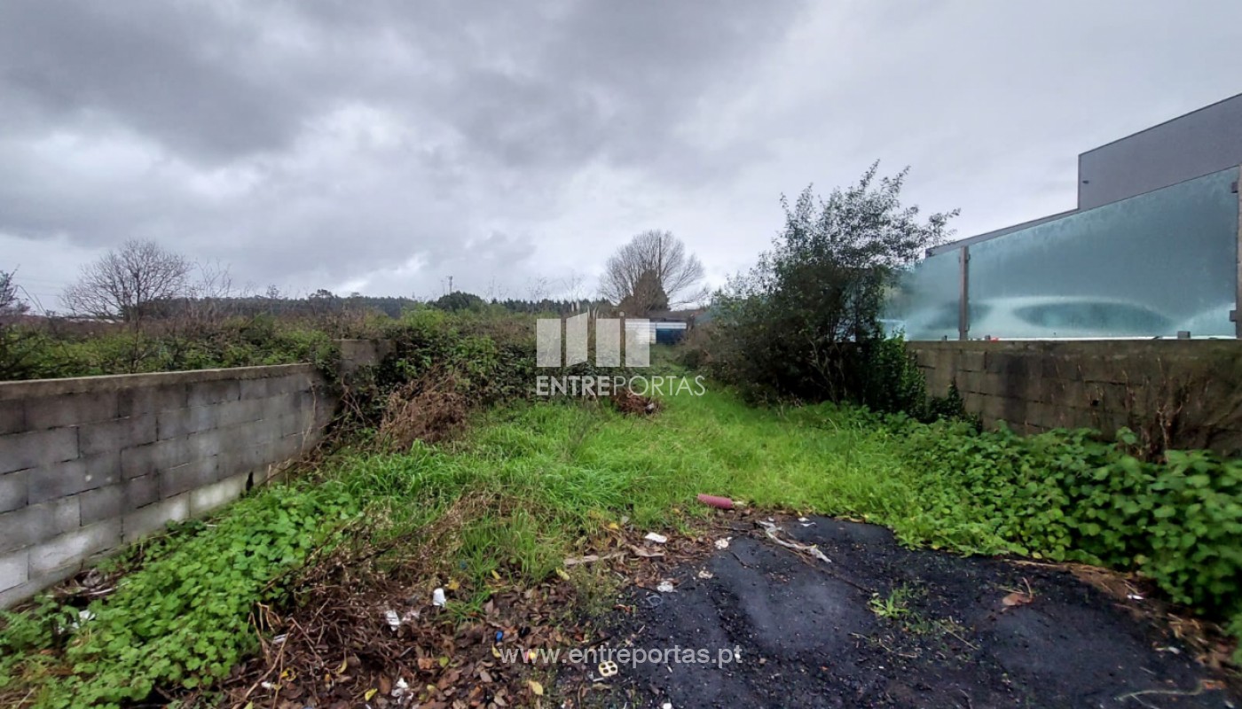 House in Arvore - Image 5