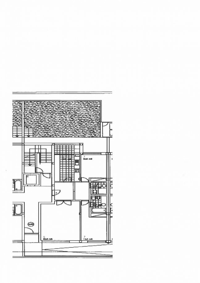 vc05194-plantajpg