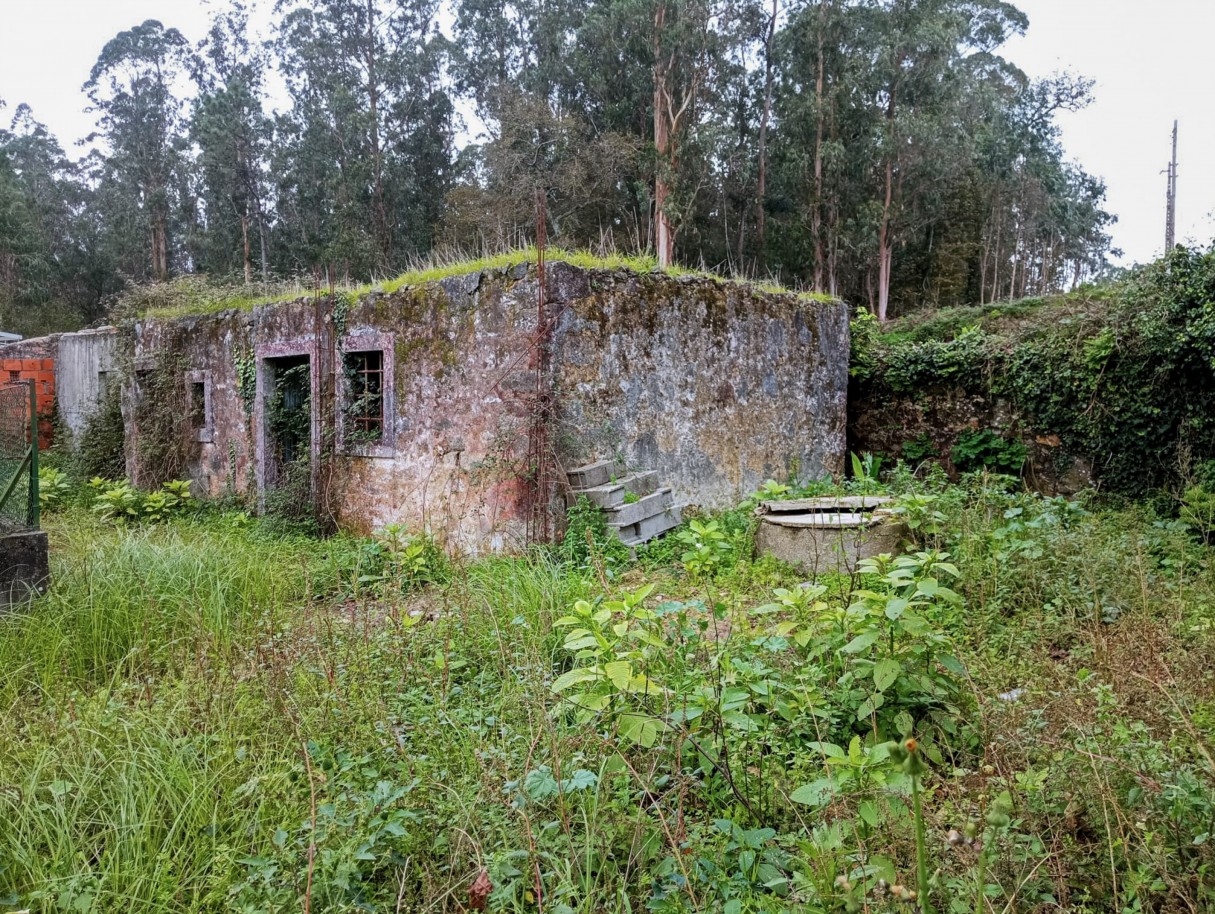 vc05300-3jpg