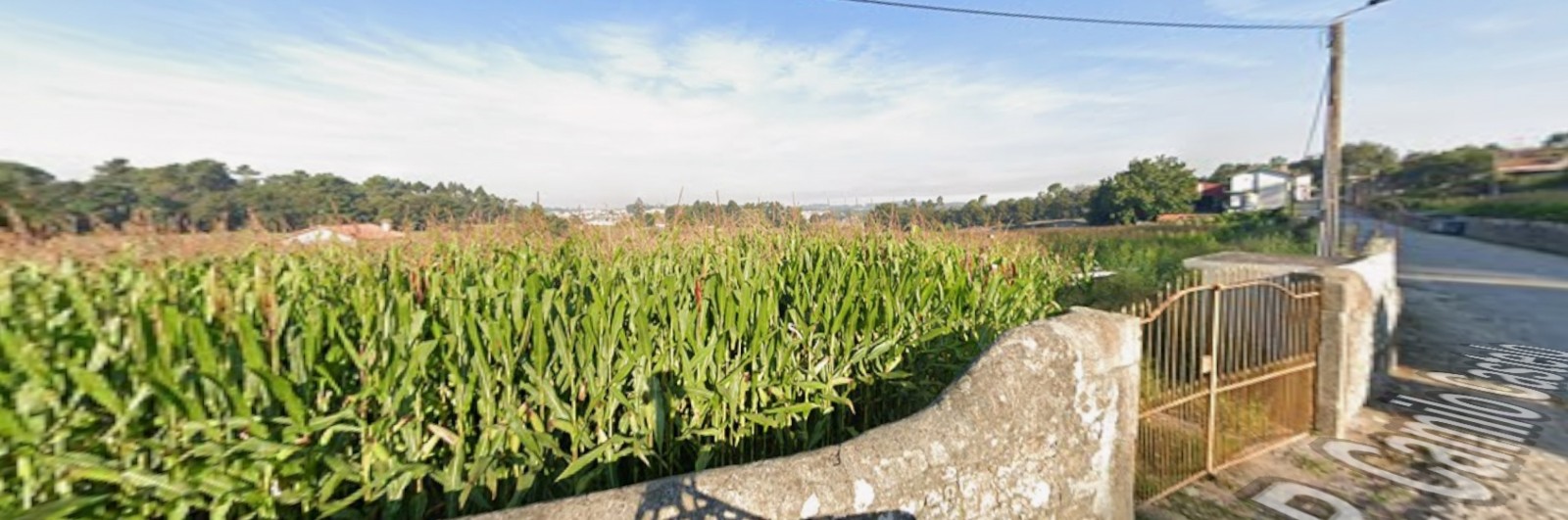 vc05374jpg