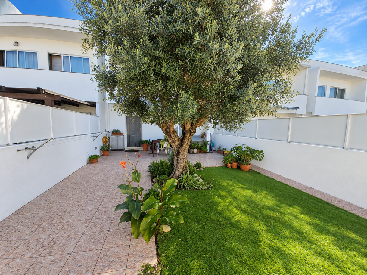 patio-mediterranico-com-oliveira-centralpng