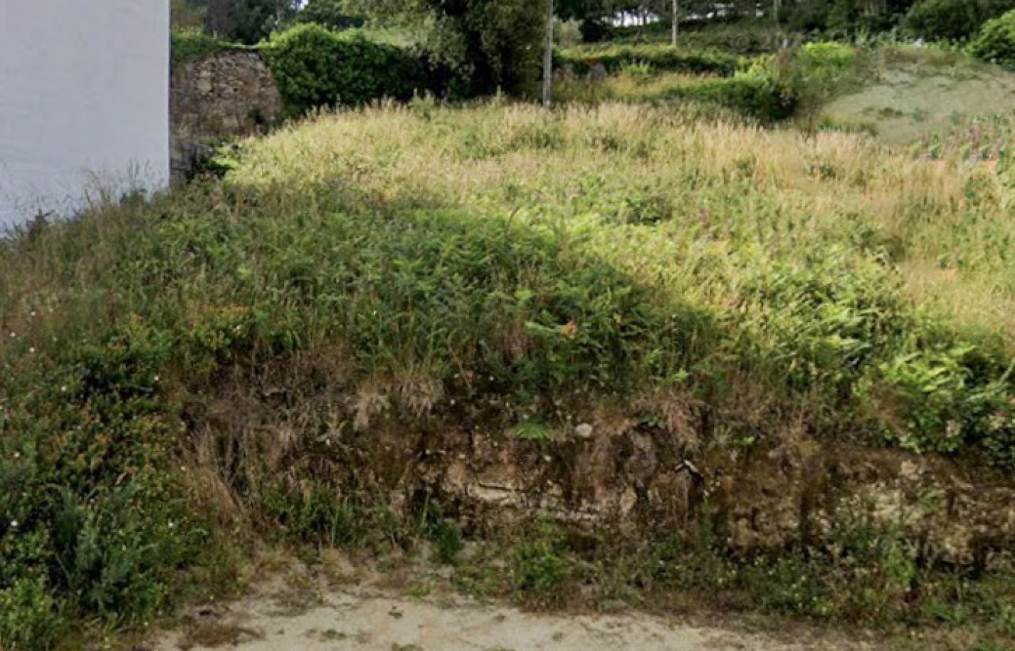 vc05173-3jpg